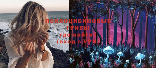 спиды Алексеевка