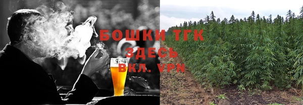 спиды Алексеевка